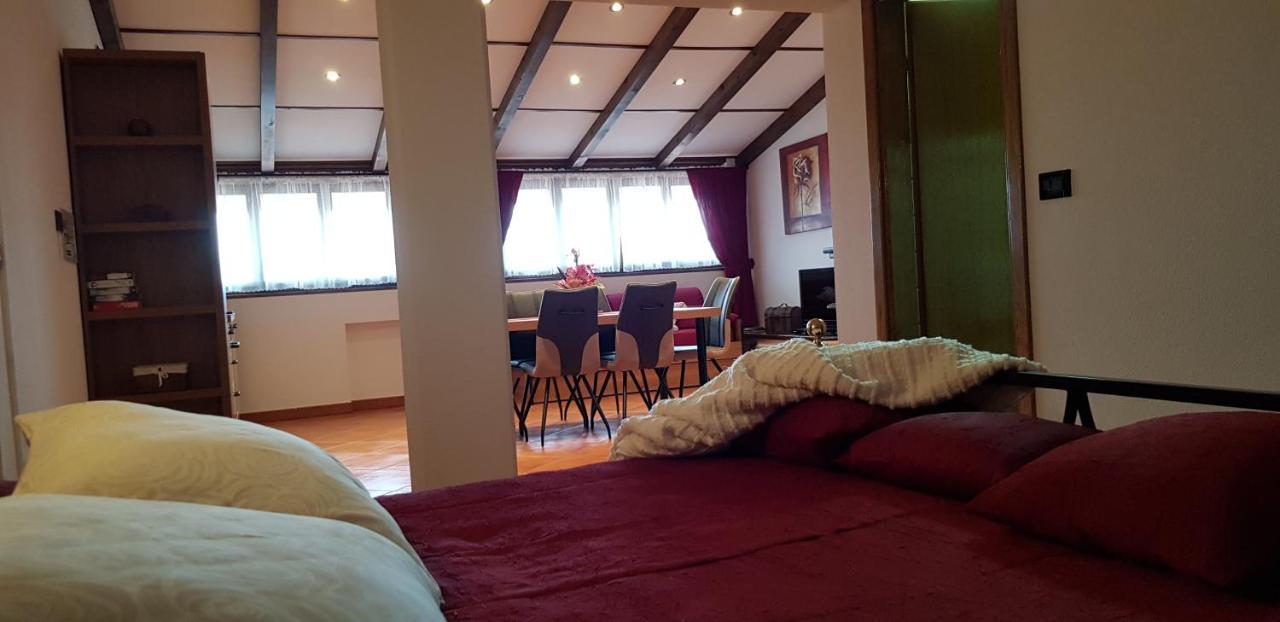 Apartmens Alenka Rovinj Extérieur photo