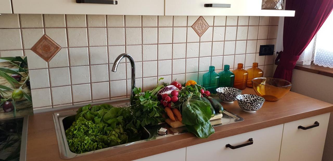 Apartmens Alenka Rovinj Extérieur photo